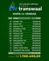 Resultado XVI Leilão Virtual Haras Transwaal
